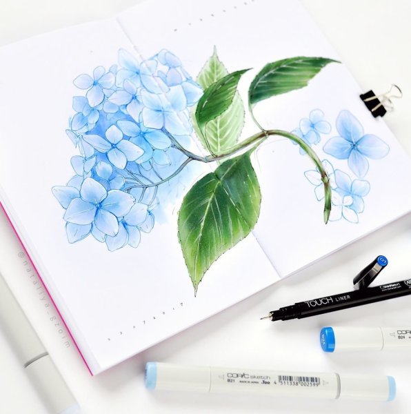 Скетчи спиртовыми маркерами