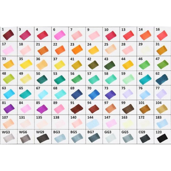 80 Цветов маркеров Touch Raven