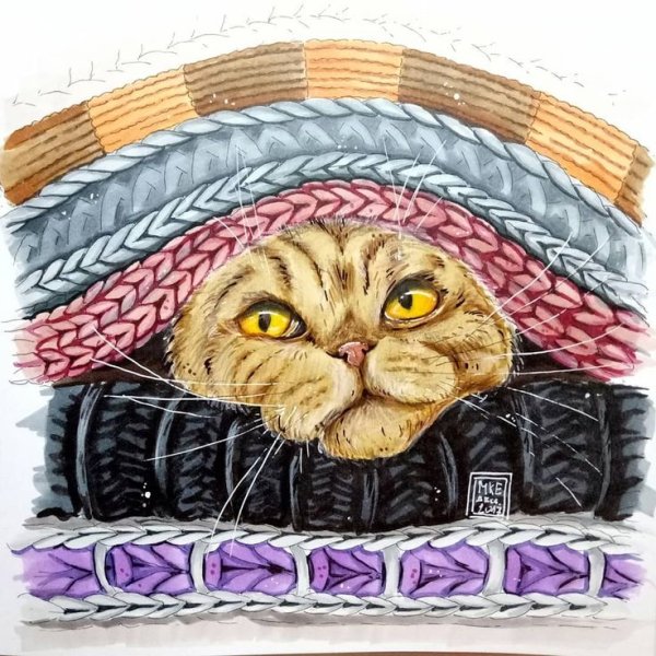 Кот маркерами