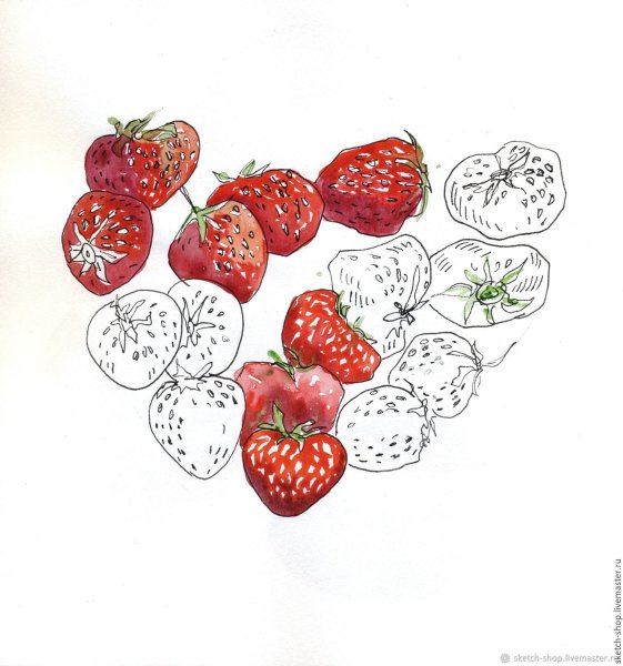 Ягоды скетч