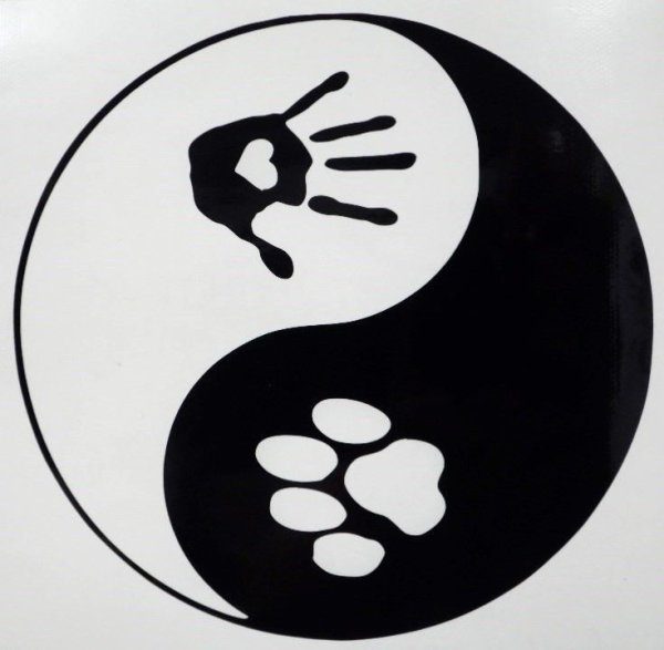 Японский дракон Инь Янь