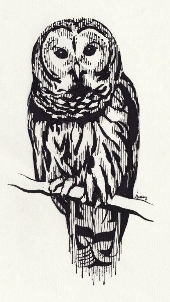 Сова рисунок маркерами