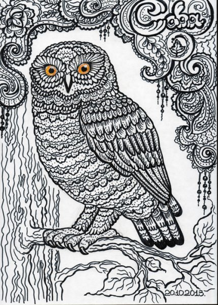 Сова Графика для детей