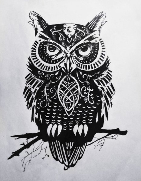 Сова Графика черно-белая