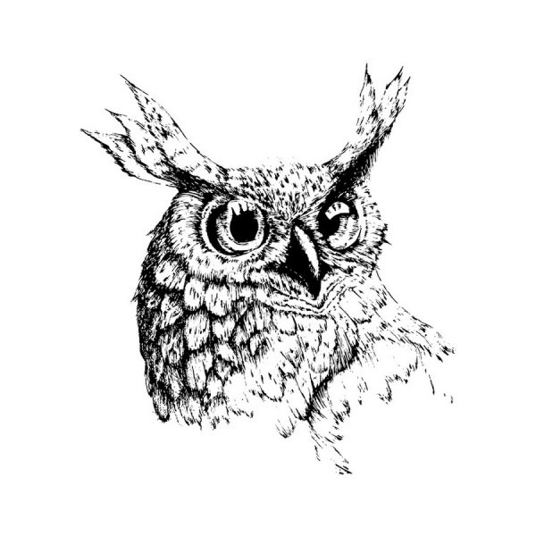 Филин рисунок карандашом в графике