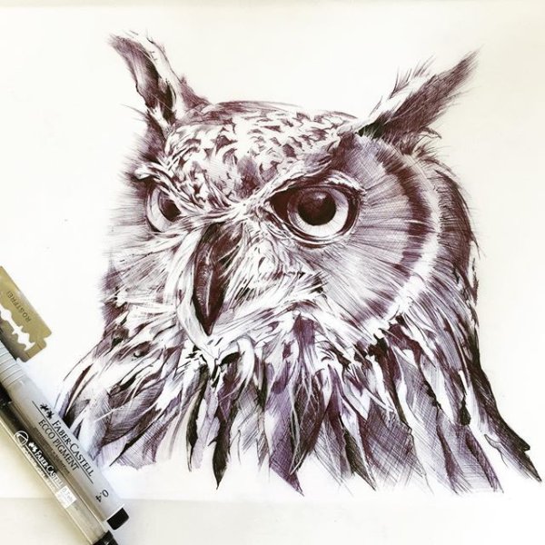 Сова маркерами