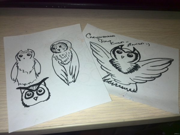 Сова рисунок маркерами