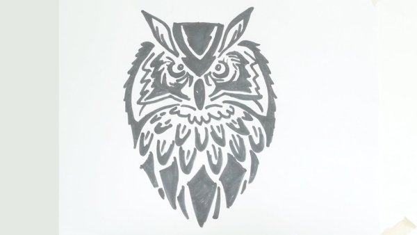 Сова трафарет