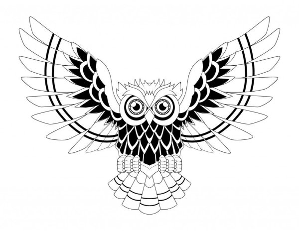 Трайбл сипуха