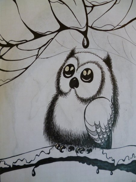 Поэтапное рисование Совы черной ручкой