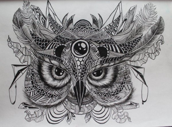 Филин Сова Мандала Зентангл