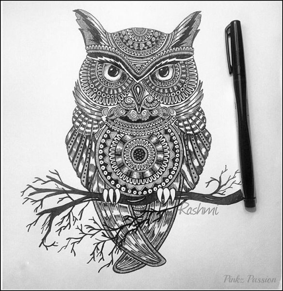 Дудлинг и Зентангл Сова