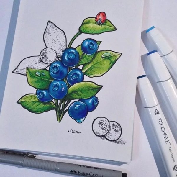 Черника маркерами