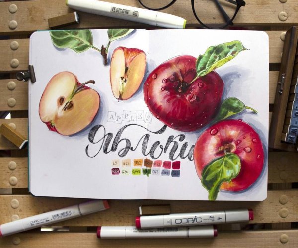 Фрукты скетч маркерами