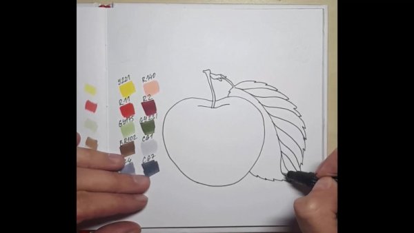 Карандаши цветные