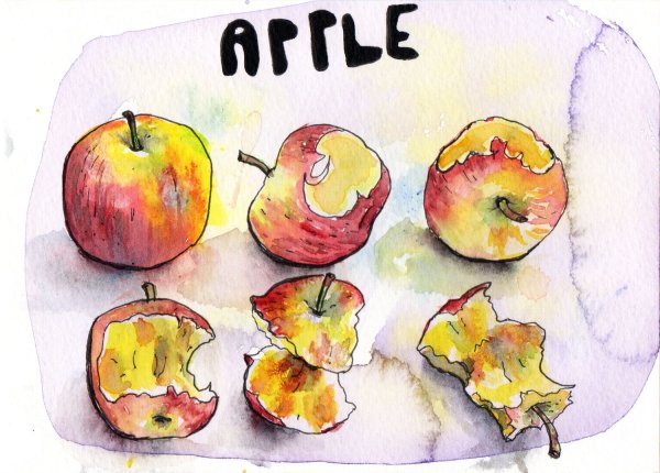 Фрукты скетч маркерами