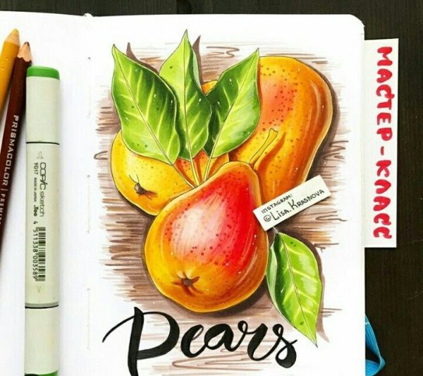 Скетчинг груша маркерами для начинающих