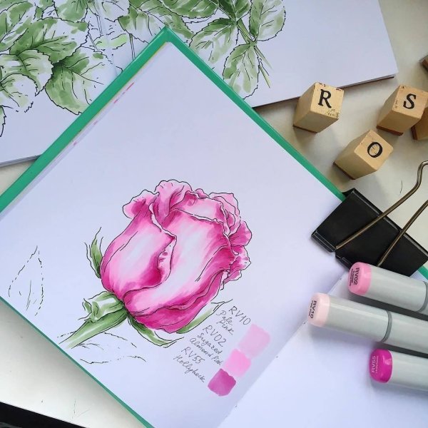 Роза рисунок фломастером