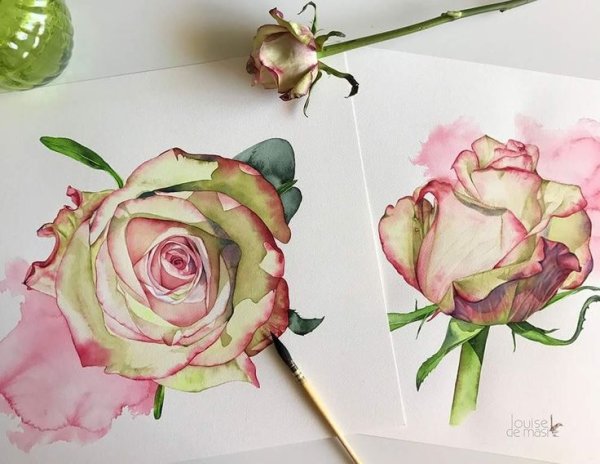 Роза маркерами