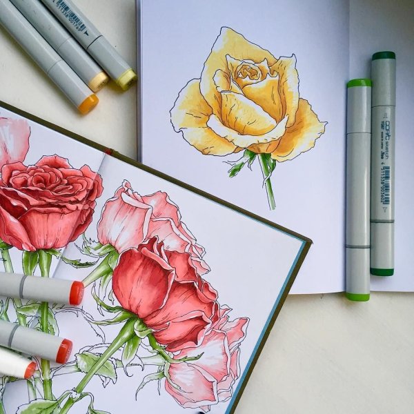 Цветы фломастерами