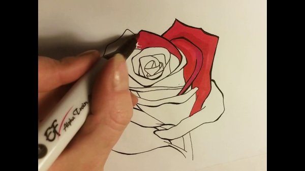 Пионы акварельными маркерами