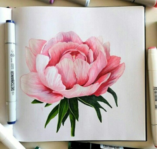 Цветы фломастерами