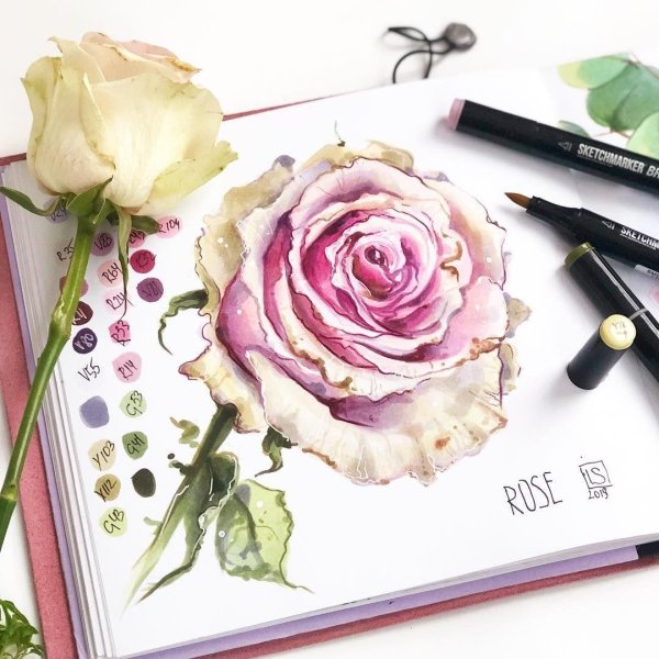 Цветы срисовывать маркерами