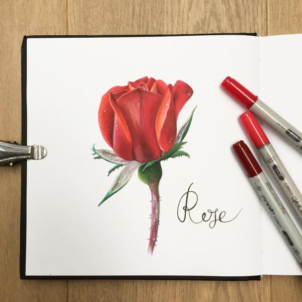 Маркер «цветок»