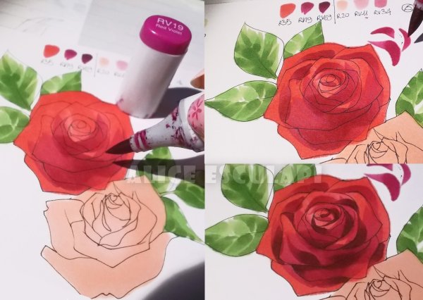 Цветы для рисования фломастерами