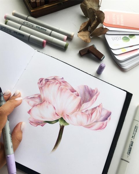 Цветы маркерами для скетчинга