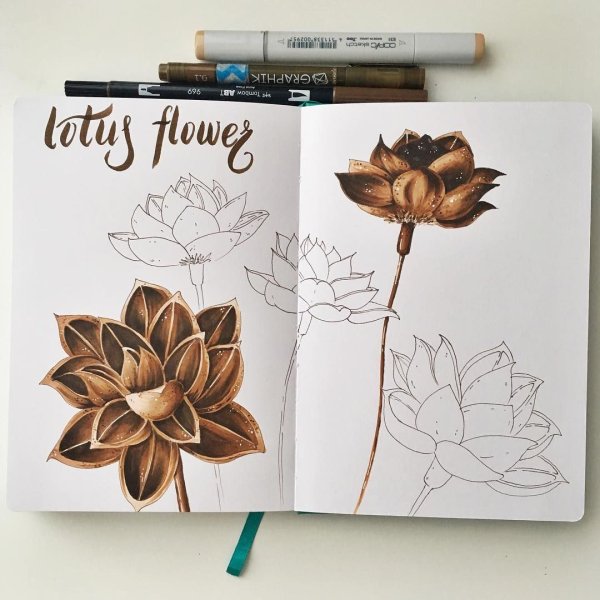 Роза маркерами