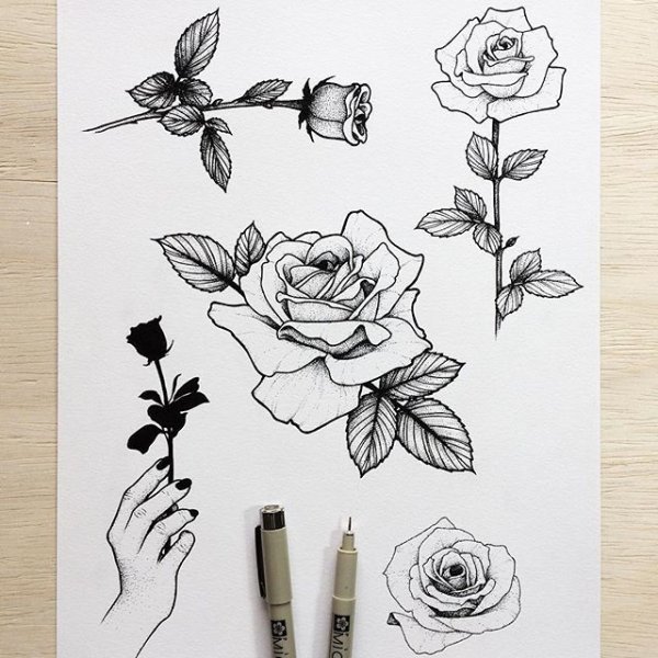 Линер сепия