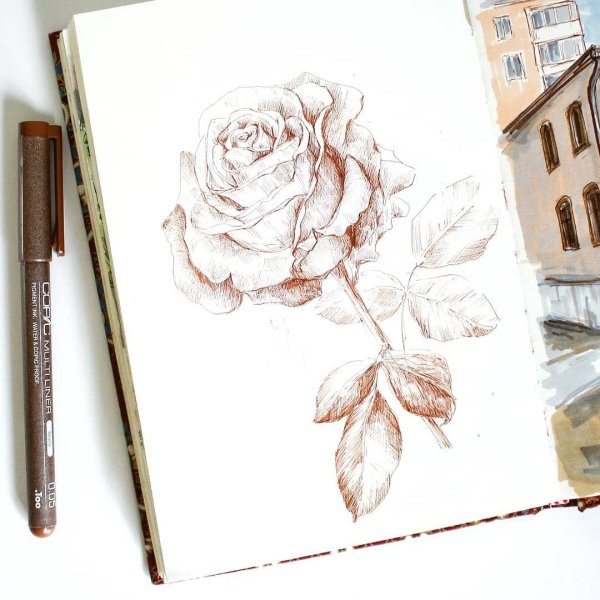 Роза скетч маркерами