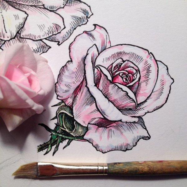 Цветы скетч маркерами