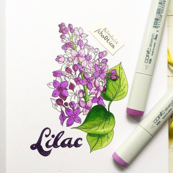 Скетчи БТС маркерами