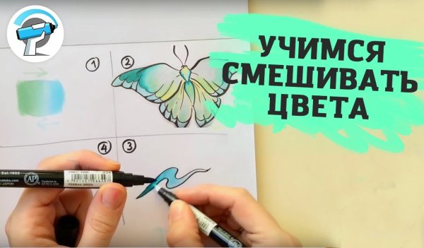 Рисунки спиртовыми маркерами для начинающих поэтапно