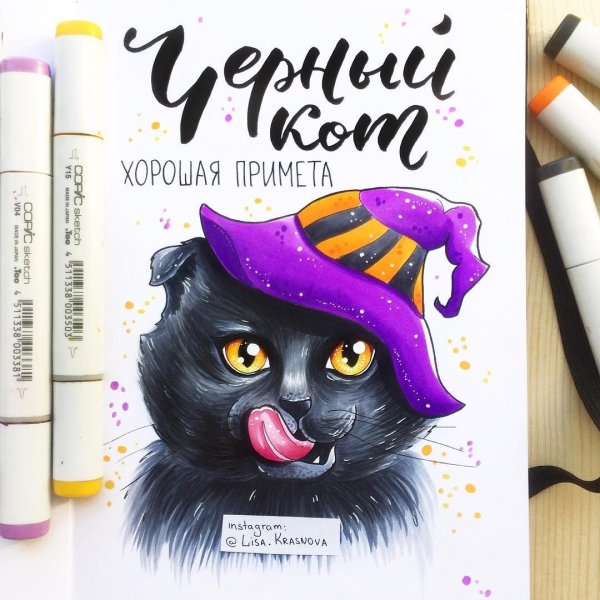 Кот фломастерами