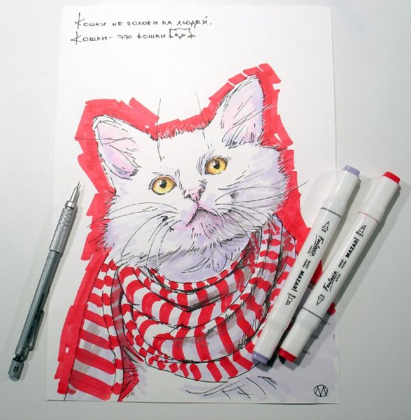Кот фломастерами