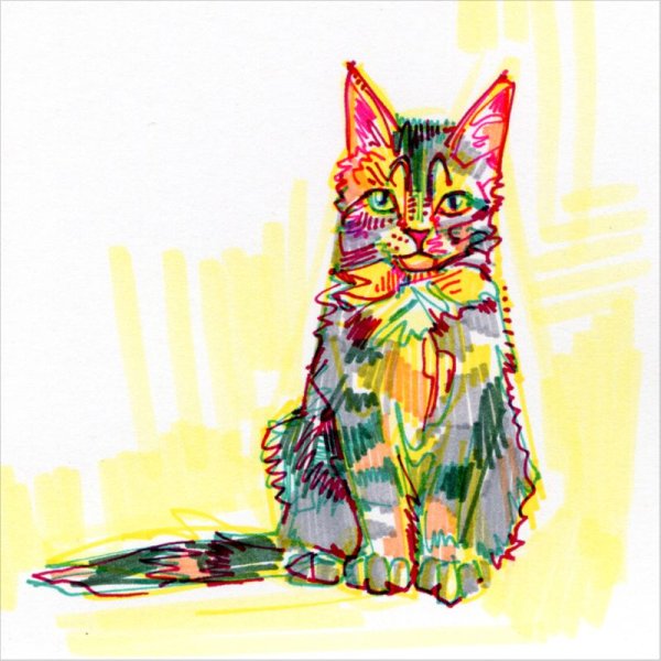Кошка маркерами