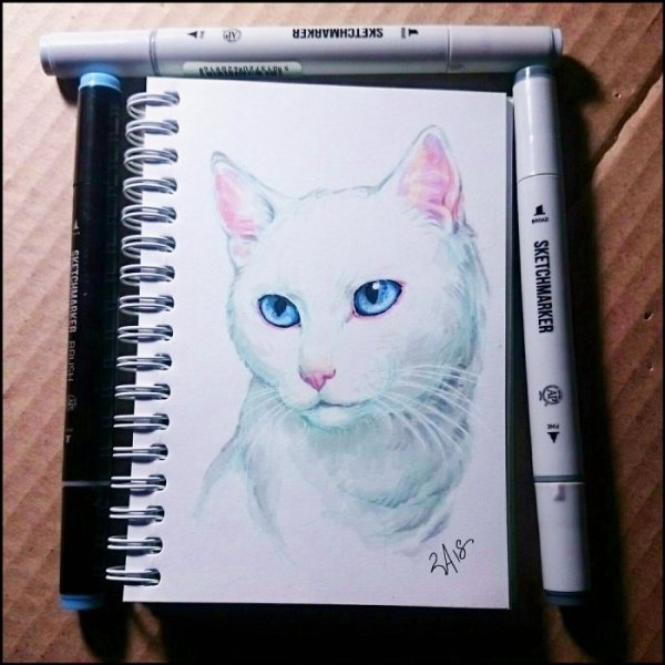 Красивые коты в скетчбук
