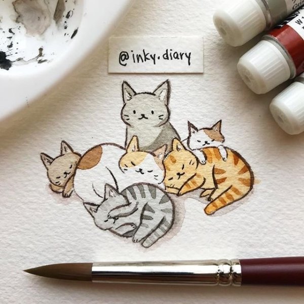 Кошка маркерами