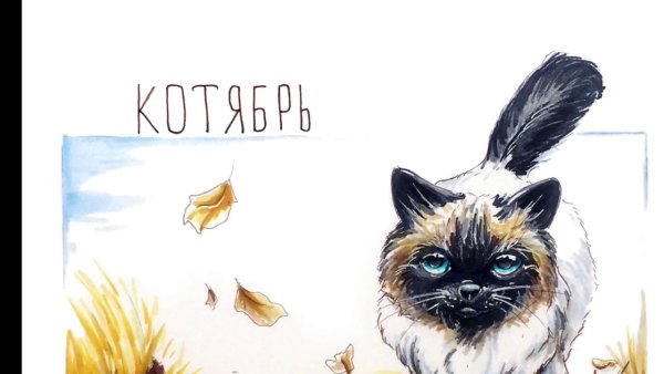 Кошка скетч маркерами