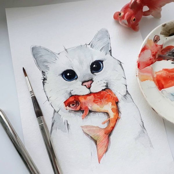 Котик маркерами