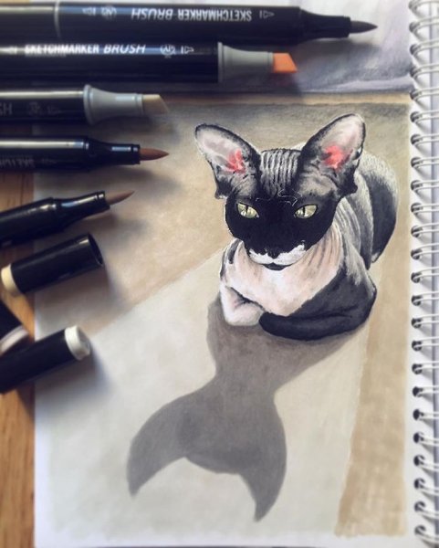Кот фломастерами