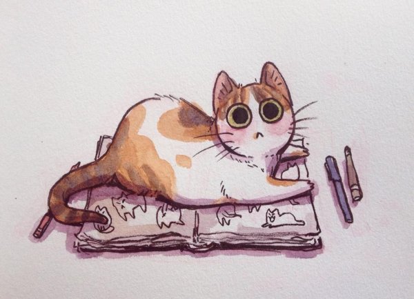 Котиркти для скейчбука