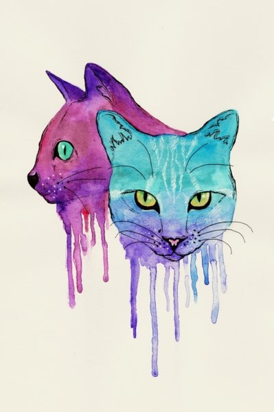 Красивые рисунки кошек красками