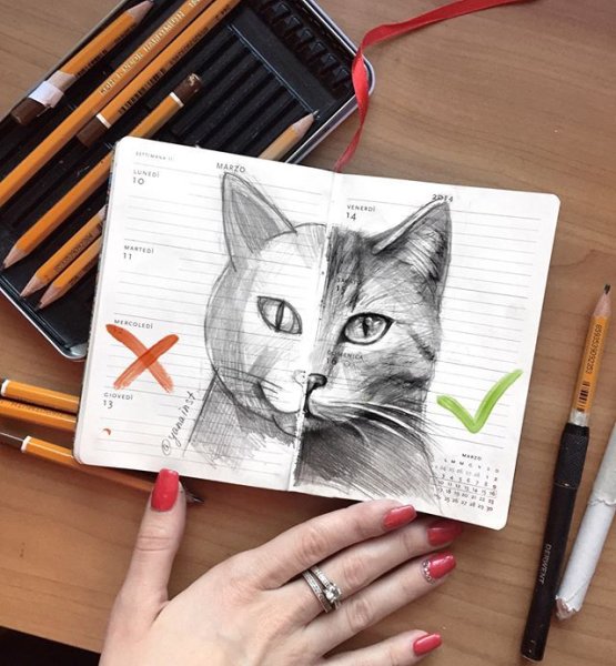Рисунки для скетчбука коты