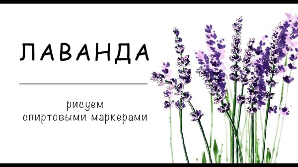 Лаванду спиртовым маркерами рисунки