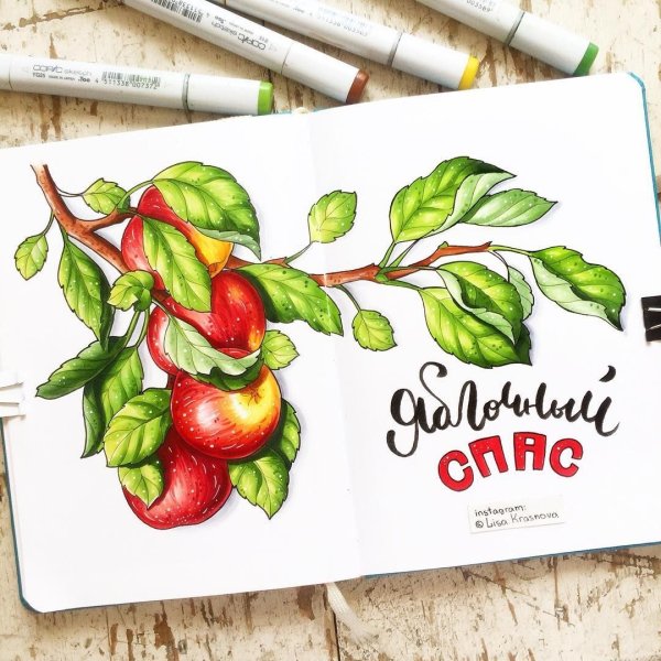 Фрукты скетч маркерами