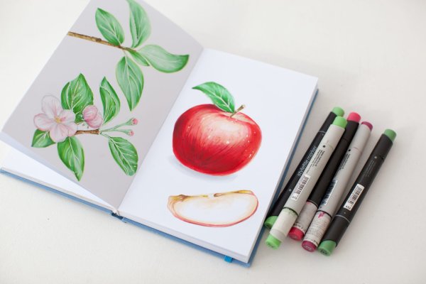 Вишня скетч маркерами